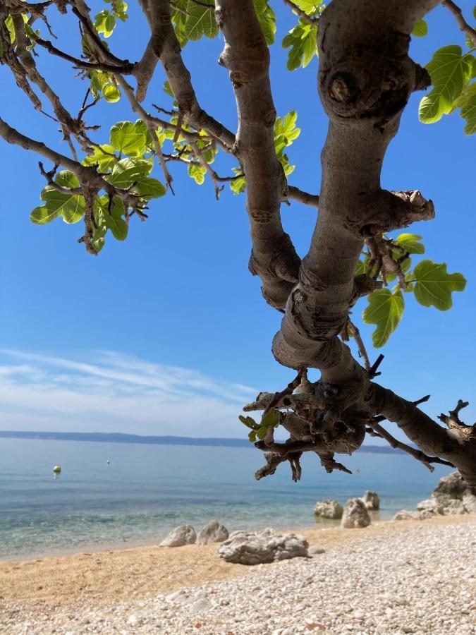 Kuca Za Odmor Baya Villa Stara Baška Buitenkant foto